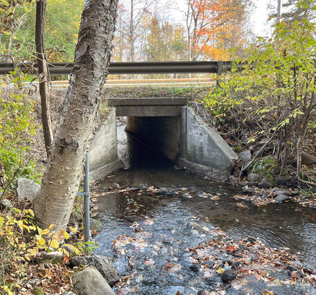 Waits River Tributary near West Topham, VT
