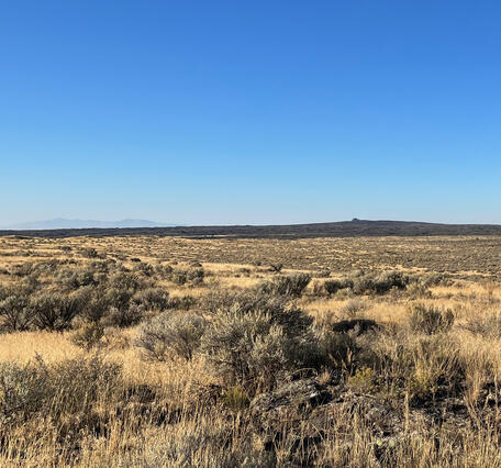 Dry sagebrush-covered flat landscape with a dark, low butte rising in the distance under blue sky