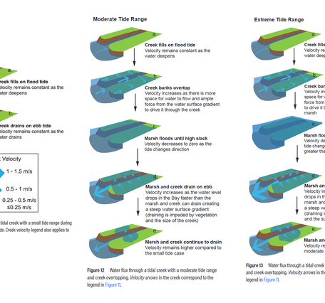 Charts depicting water flux through a tidal creek during flood and ebb tides