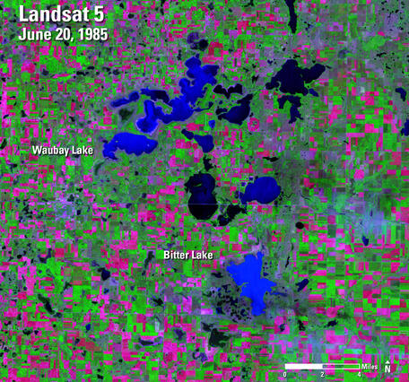Satellite image with various shades of green, pink and blue with text labels in white