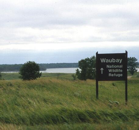 A landscape with grass and a few trees in the foreground, an irregular body of water and forest behind the water