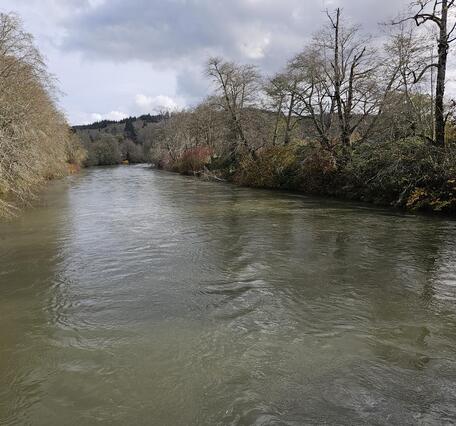 river with brown water