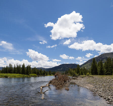 Yellowstone River