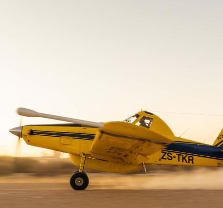 A yellow and dark blue single-engine agricultural aircraft (registration ZS-TKR)