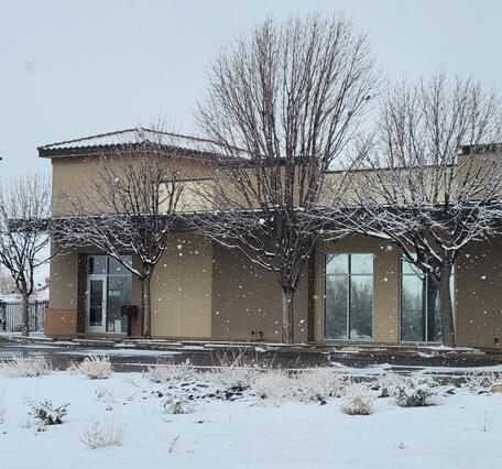A snow-covered building during a light winter storm