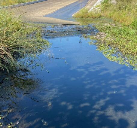 View of stream looking towards bridge overpass