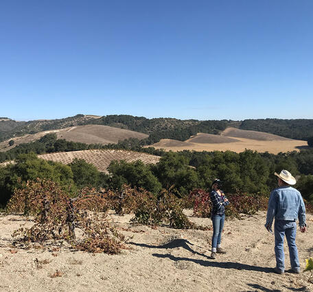 Field work in the Adelaida Area of San Luis Obispo County, California