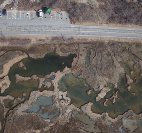 Birds eye view of green pools surrounded by low lying tan marsh vegitation