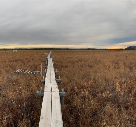 A photograph of arctic wetlands, showing a wooden pathway over the wetlands and the horizon.