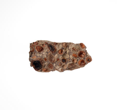  Isolated USGS mineral specimen of vesicular basalt.