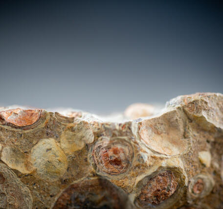Macro image of a bauxite specimen showing detailed texture and color variation.