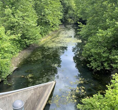 View of stream from bridge