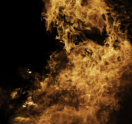 bright fire burns against a black background, some shadows of shrubs in the fire