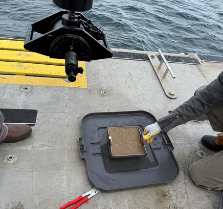 sediment in small equipment next to ocean