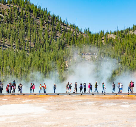 people walk in a line on a boardwalk. Below them is orange sand, above them steam and conifers on a hill.