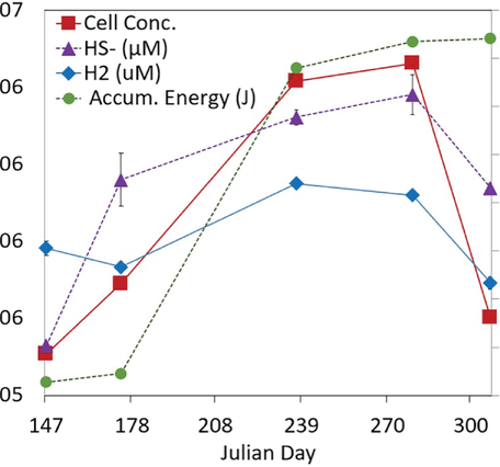 all values rise over time to the middle-late part of the plot, then decrease to previous levels