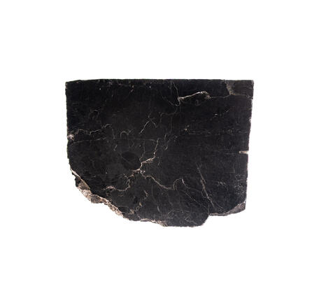 High-definition image showing coarse texture and metallic sheen.