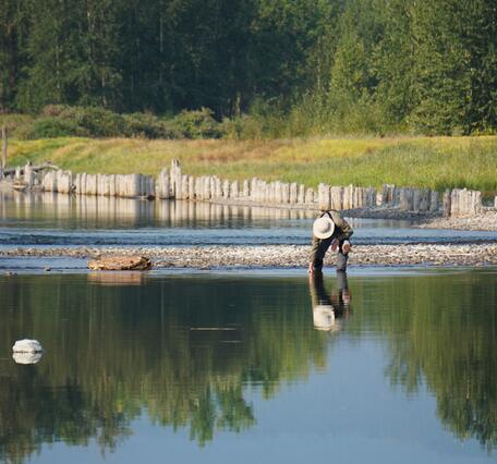 USGS Selenium Research Laboratory scientist collecting samples on the Kootenai River.