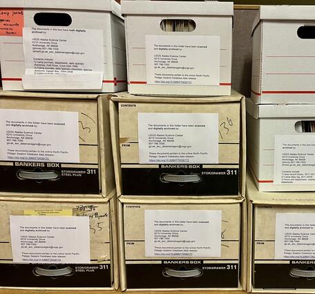 White and brown carboard boxes stacked on top of each other.