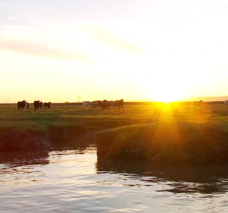 SF Bay-Delta from POV of USGS vessel at sunset
