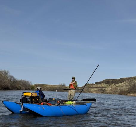 USGS researchers electrofishing on the Yakima River