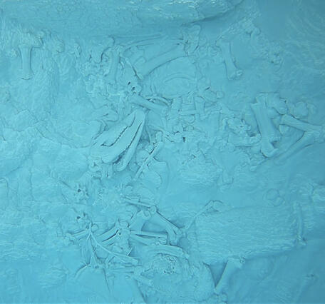 underwater image of bones lying at the bottom of a blue-water hot spring
