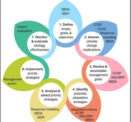 An infographic explaining the adaptation planning process. 