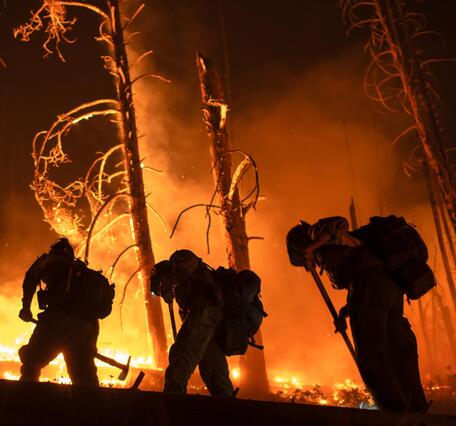 four firefighters walk in a line at night, burned trees and flames in the background