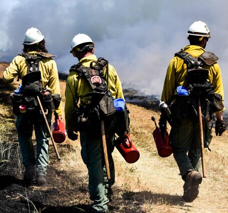 three firefighters walk along a grass trail with materials for implementing prescribed burn, smoke in the background
