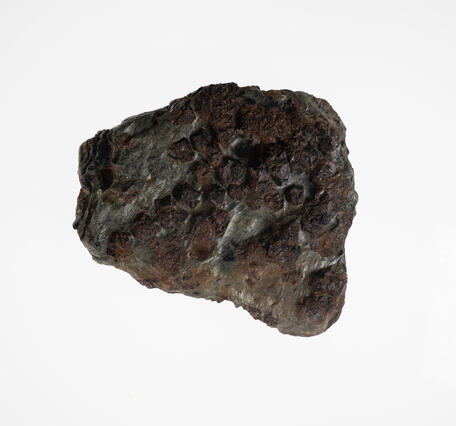 Garnet specimen from the USGS mineral collection.