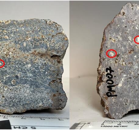 fist-sized rock samples gray in color with red circles noting large white mineral grains