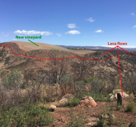 Landscape view of rolling hills with labeled "New vineyard" and "Lava flows" areas, separated by a red dashed line