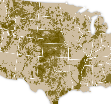 Irrigation Use map, monthly averages 2009-2020 by watershed