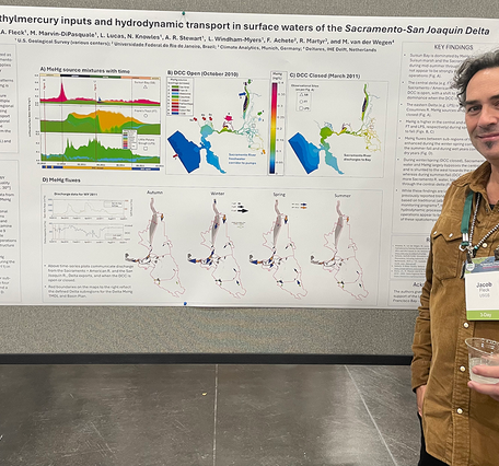 Poster: Modeling methylmercury inputs and hydrodynamic transport in surface waters of the Sacramento-San Joaquin delta