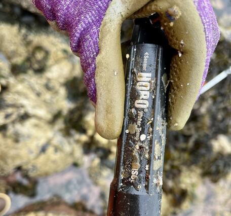 A hand in a purple glove holds a black tube.