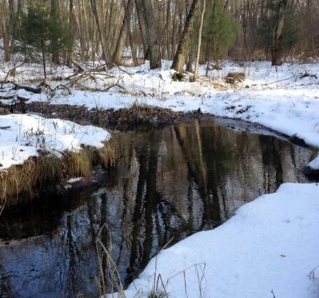 Bend in a river in a woods, banks covered in snow