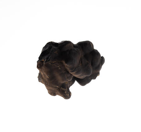 USGS mineral specimen of manganese nodule.