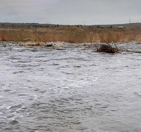 Mojave River during high flow