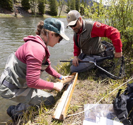 Michelle Briggs shows an angler how to measure a fish