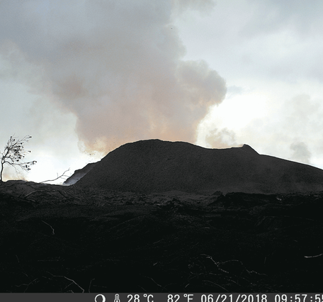 Animated GIF showing cone changes at fissure 8