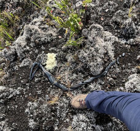 Color photograph of boot next to volcanic spatter