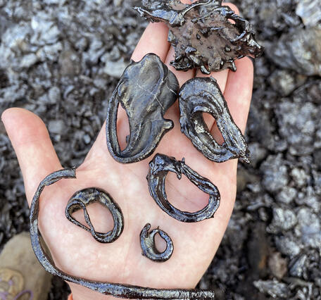 Color photograph of a person's hand with volcanic glass features