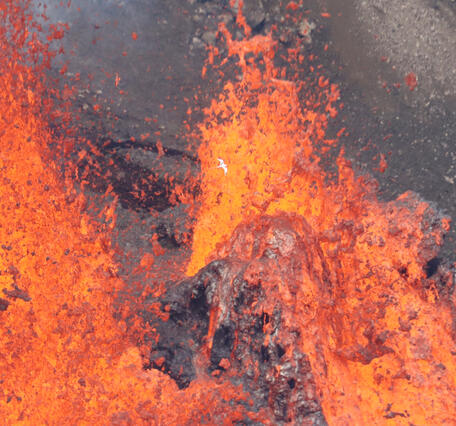 Color photograph of erupting vents with bird above