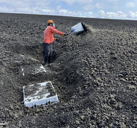 Color photograph of person digging a box out of the ground