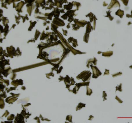 Color microscope photograph of ash