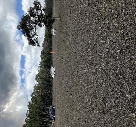 Color photograph of ground covered with volcanic rocks