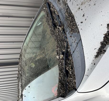 Color photograph of car covered with tephra