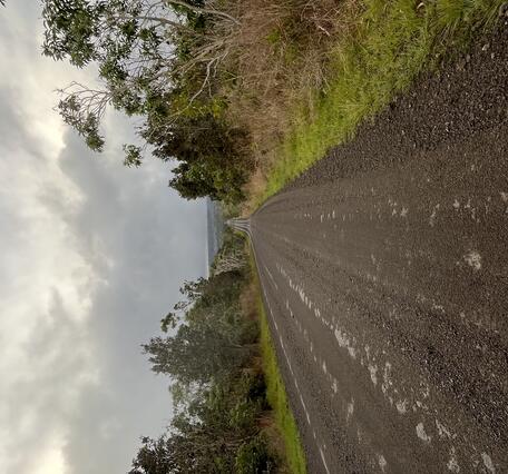 Color photograph of road covered with volcanic fallout