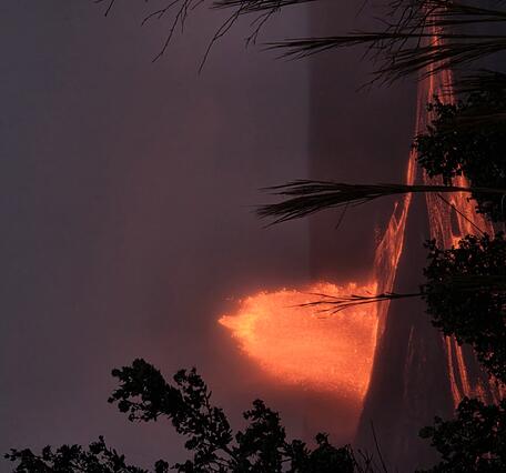 Color photograph of lava fountain at night with plants outlined in the foreground