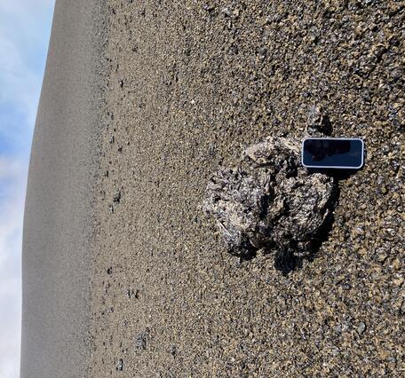 Color photograph of volcanic rock with smart phone next to it